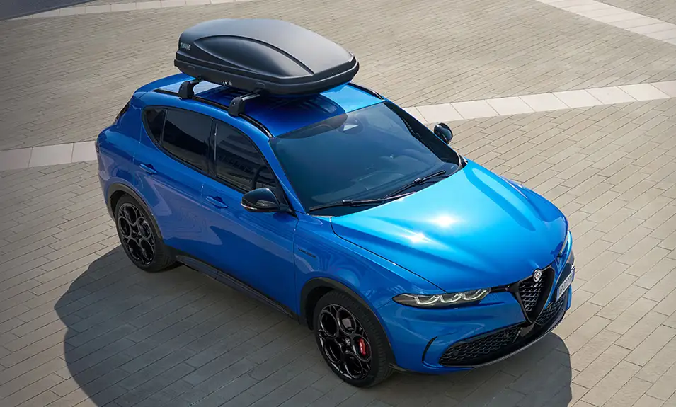 Alfa