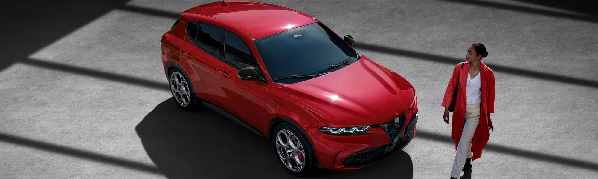 Alfa Banner Lp